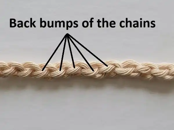 Close-up illustration of the back bumps of a crochet chain, with black lines indicating the loops for working into.