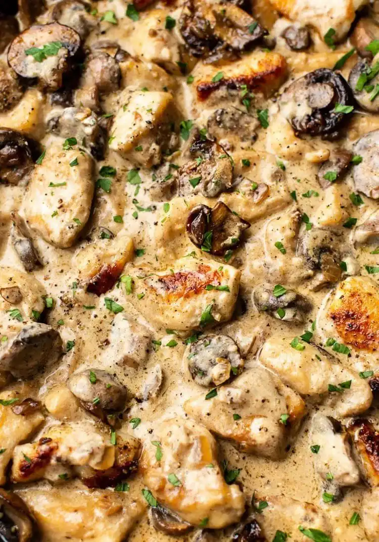 Creamy Chicken Stroganoff, a quick 30-minute meal with tender chicken and a rich sauce, a great Crockpot Chicken Nachos Recipe - Perfect Dinner Idea.