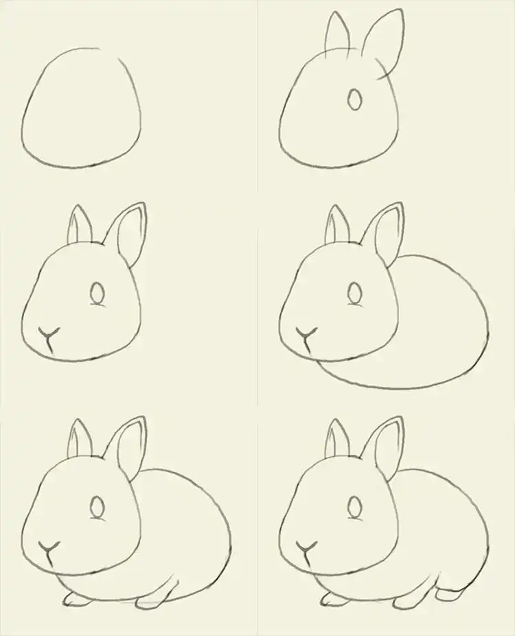 A step-by-step tutorial on how to draw a cute bunny, starting with basic shapes and adding details like ears and fluffy tail.