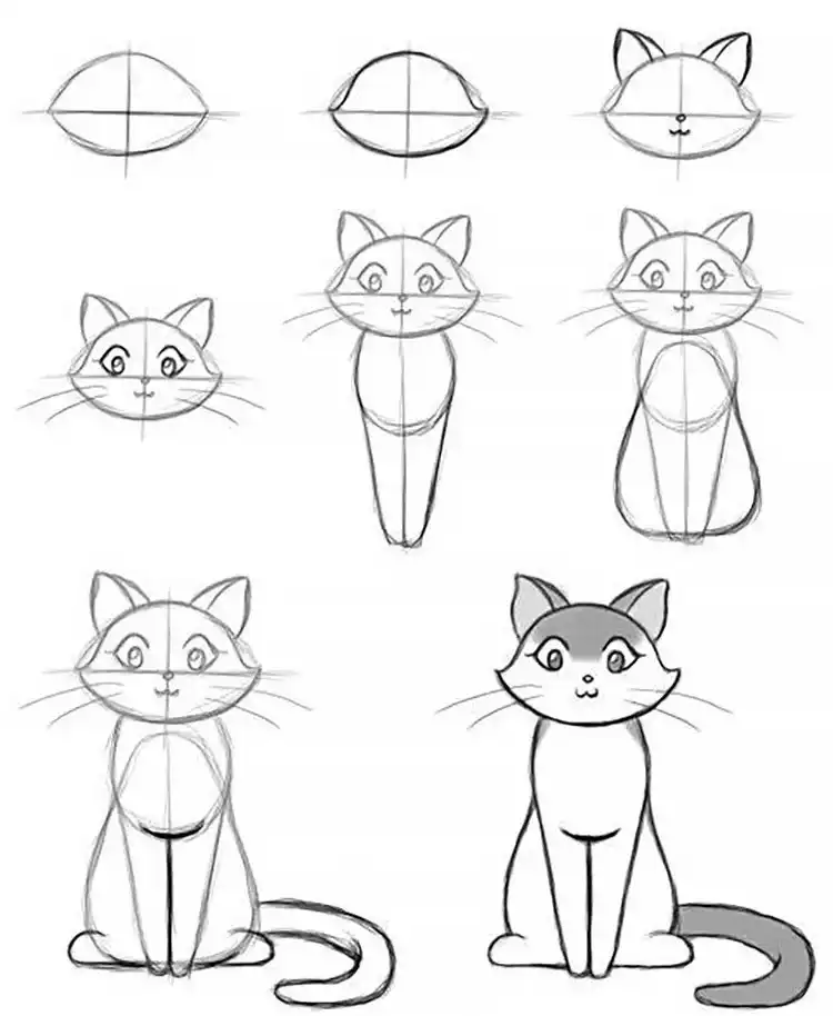 A simple step-by-step tutorial demonstrating how to draw a cat, breaking down its basic form into easy-to-follow stages.