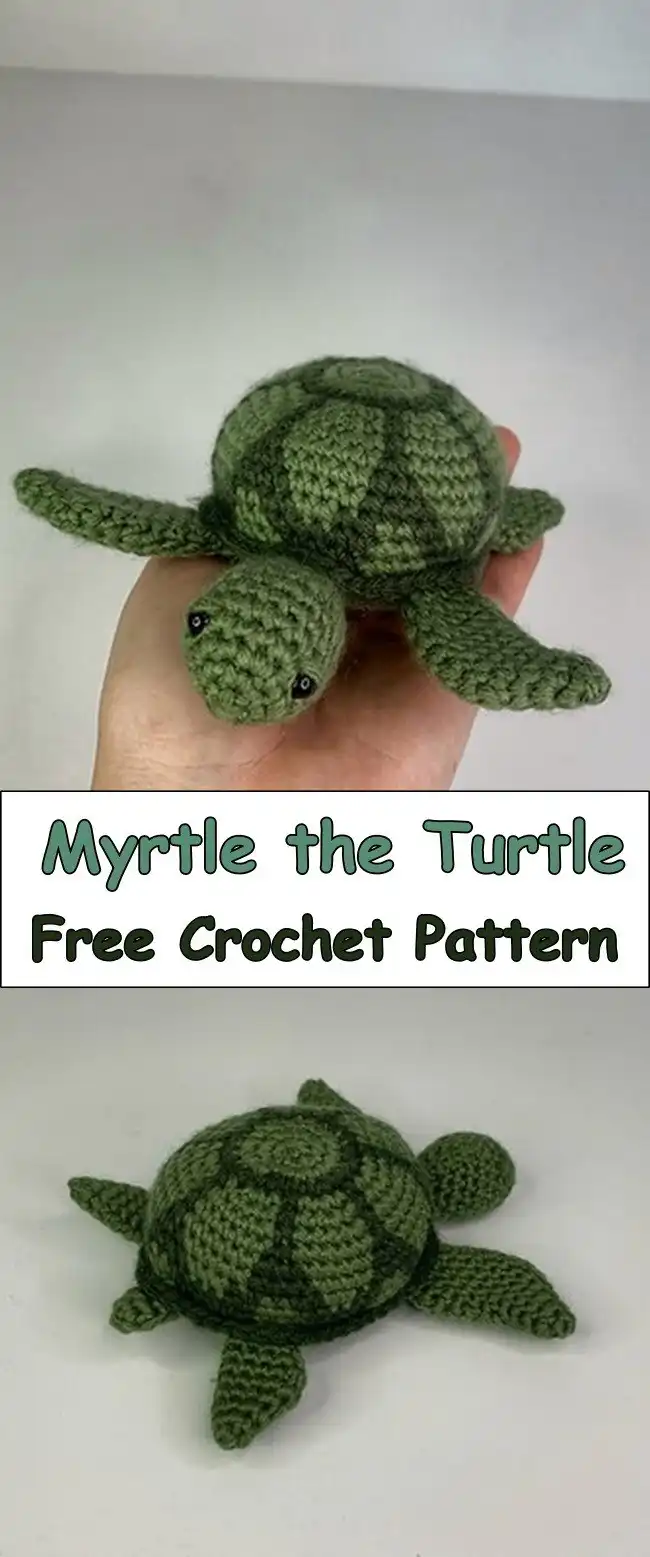 Myrtle the Turtle crochet amigurumi, with textured shell details and a sweet, friendly expression.