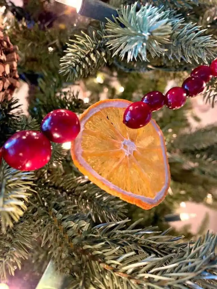 A charming Lemon Peel Star Garland strung on twine, featuring unique star shapes made from dried citrus peels for festive accents.