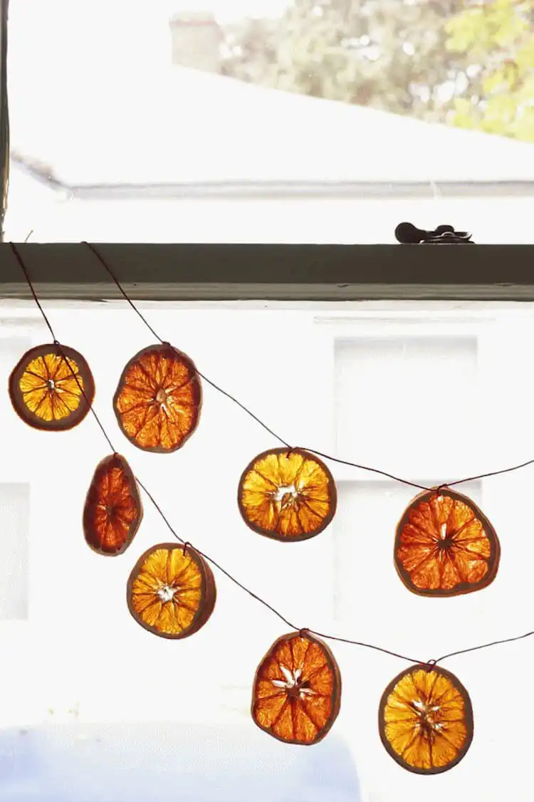 Assortment of DIY Dried Orange Garland and Citrus Ornaments, including lemon and grapefruit slices, ready for holiday decorating.