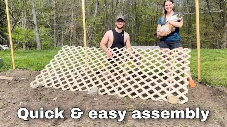 Simple and quick DIY trellis designed to save garden space for cucumber plants