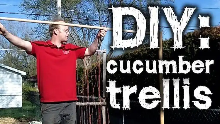 Straightforward and simple DIY cucumber trellis design, emphasizing ease of construction