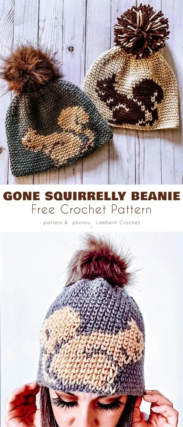 Gone Squirrelly Beanie crochet pattern, featuring a whimsical squirrel motif in earthy brown and orange tones with a fluffy pom-pom.