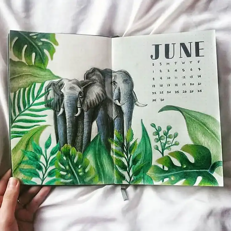 September bullet journal cover page with easy-to-draw fish in a refreshing blue and green aquatic color palette.