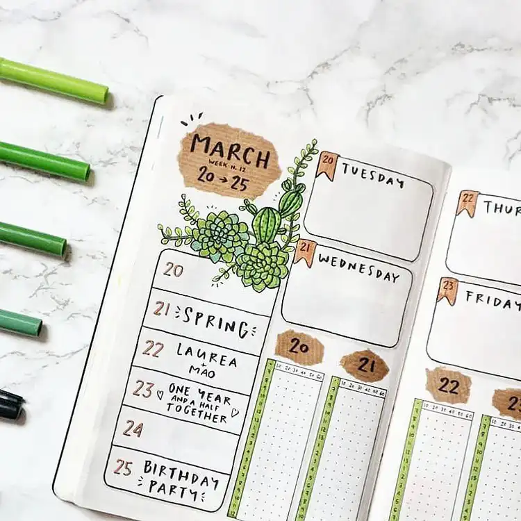 Bullet journal spread dedicated to plant information, showing a detailed plant drawing with notes on its care requirements.