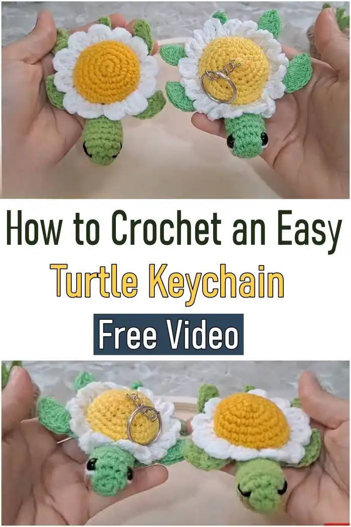 A simple, soft crochet turtle amigurumi, perfect for beginners, displayed on a wooden surface.