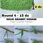 An elegant lily pad granny square in variegated green and purple yarns, featuring textured puff stitches that resemble a floating lily pad.