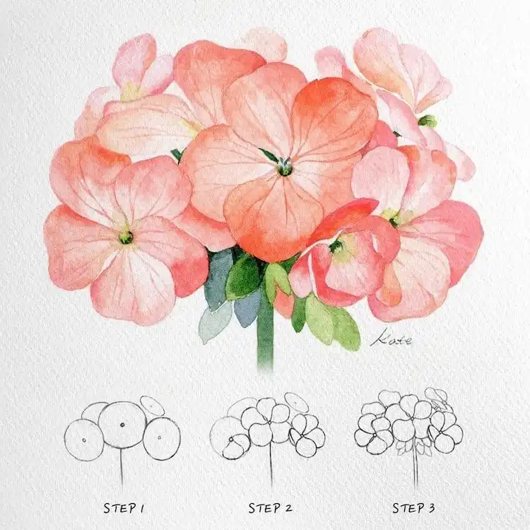 Step-by-step guide to drawing realistic geranium flowers for beginners