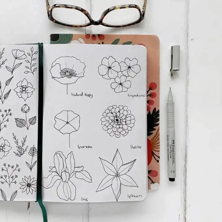 Flower drawings featuring Iceland Poppy and Ipomoea for easy and diverse floral art references.