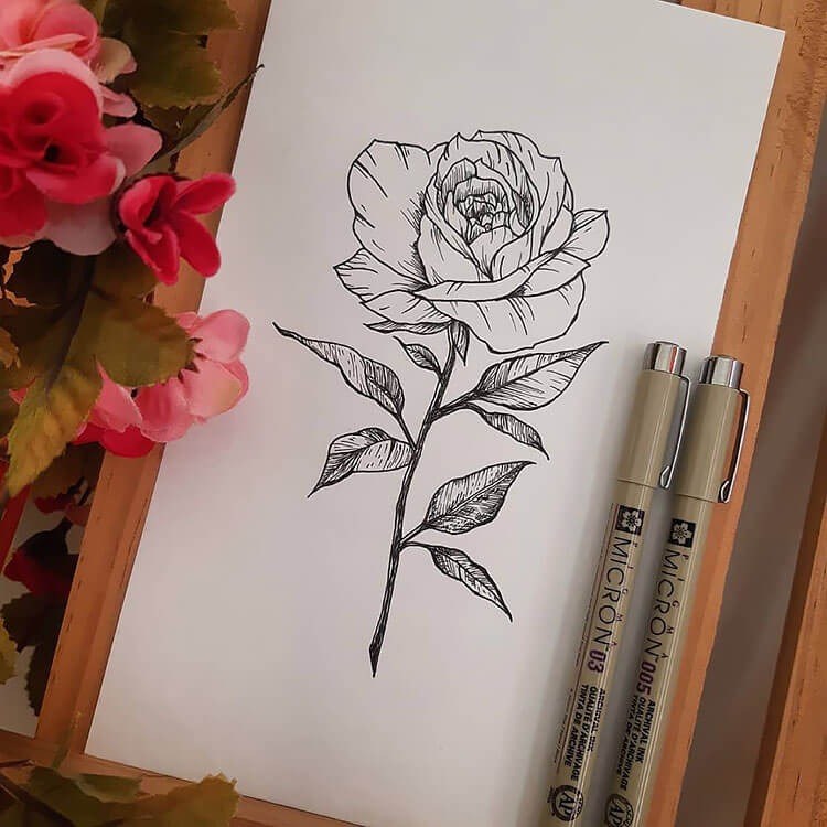 A beautiful, detailed pencil sketch of a rose with delicate shading, illustrating How to Draw Roses - Flower Drawing Ideas.