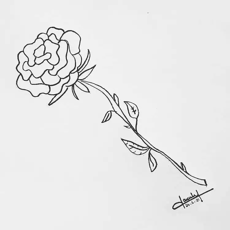 A detailed step-by-step tutorial image showing the progression of drawing a rose from simple shapes to complex forms.