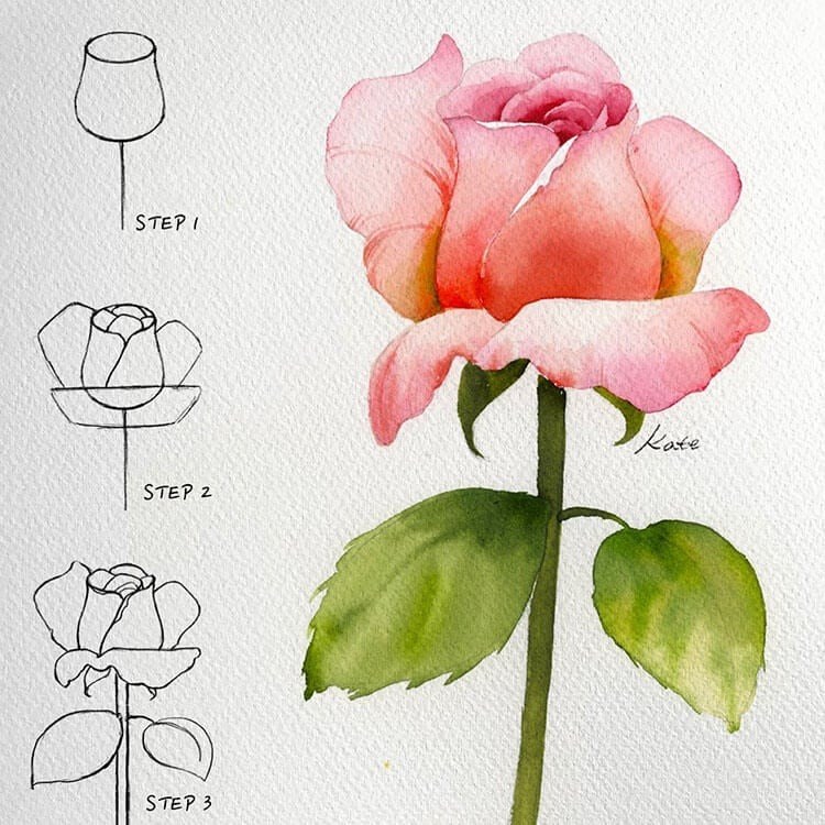 A finely detailed pencil rose drawing, highlighting the use of references for accurate artistic representation.