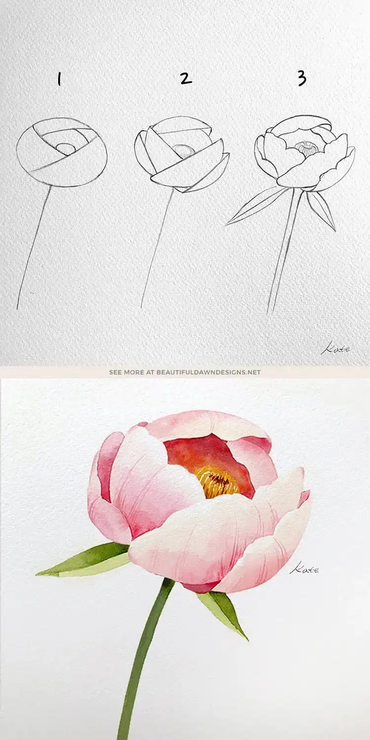 Step-by-step guide on how to draw a peony flower with numerous petals and intricate details.