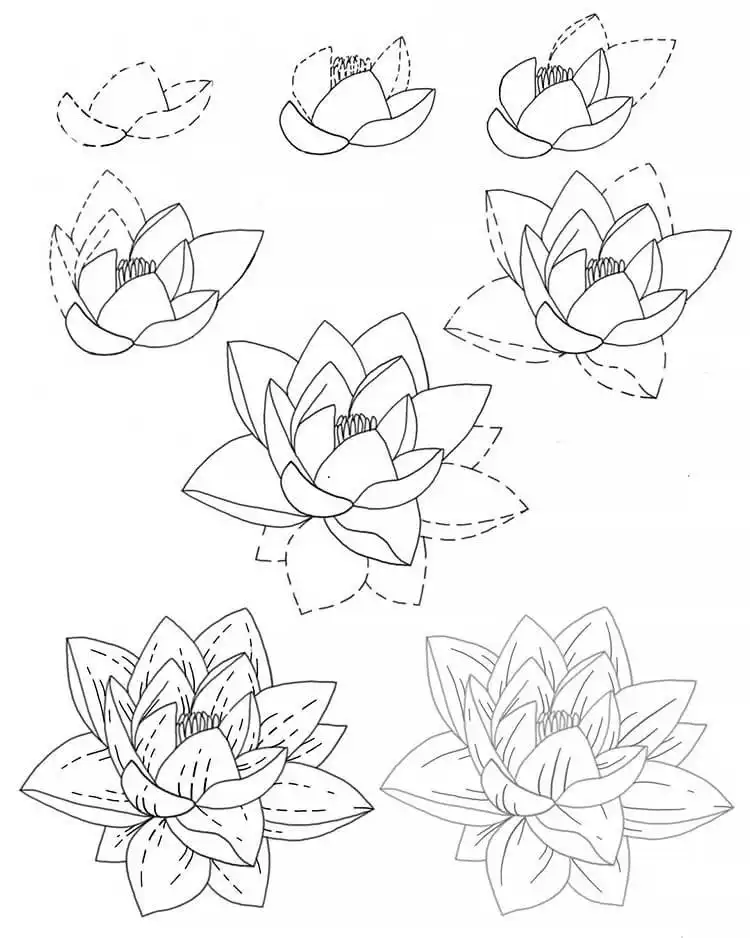 Simple step-by-step tutorial on how to draw a water lily flower floating serenely.