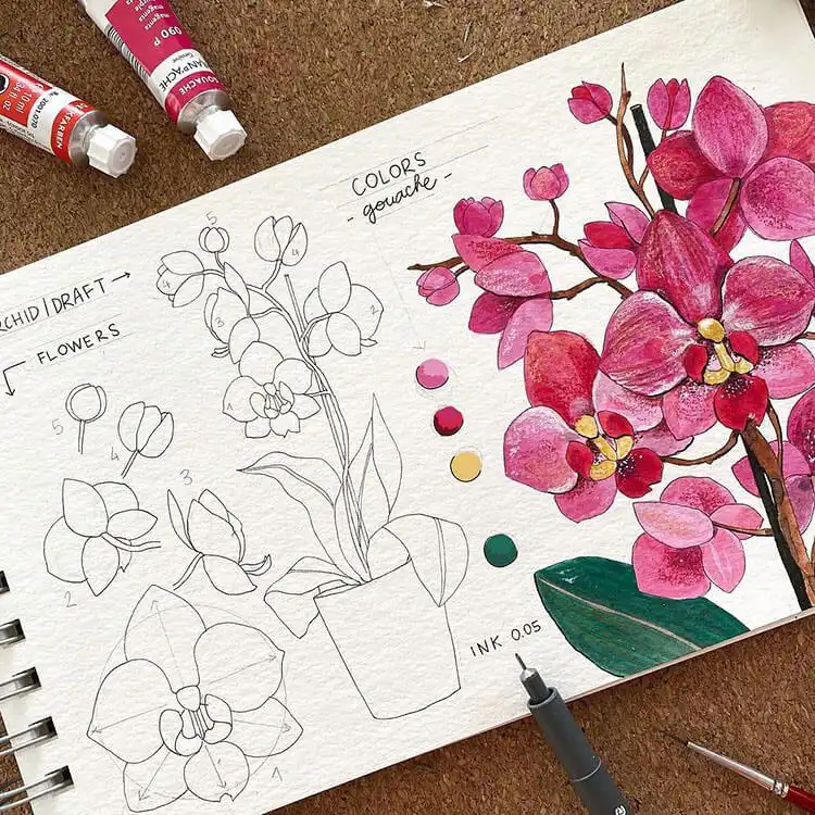 Video tutorial demonstrating how to draw an orchid flower, highlighting its unique symmetry and delicate petals.