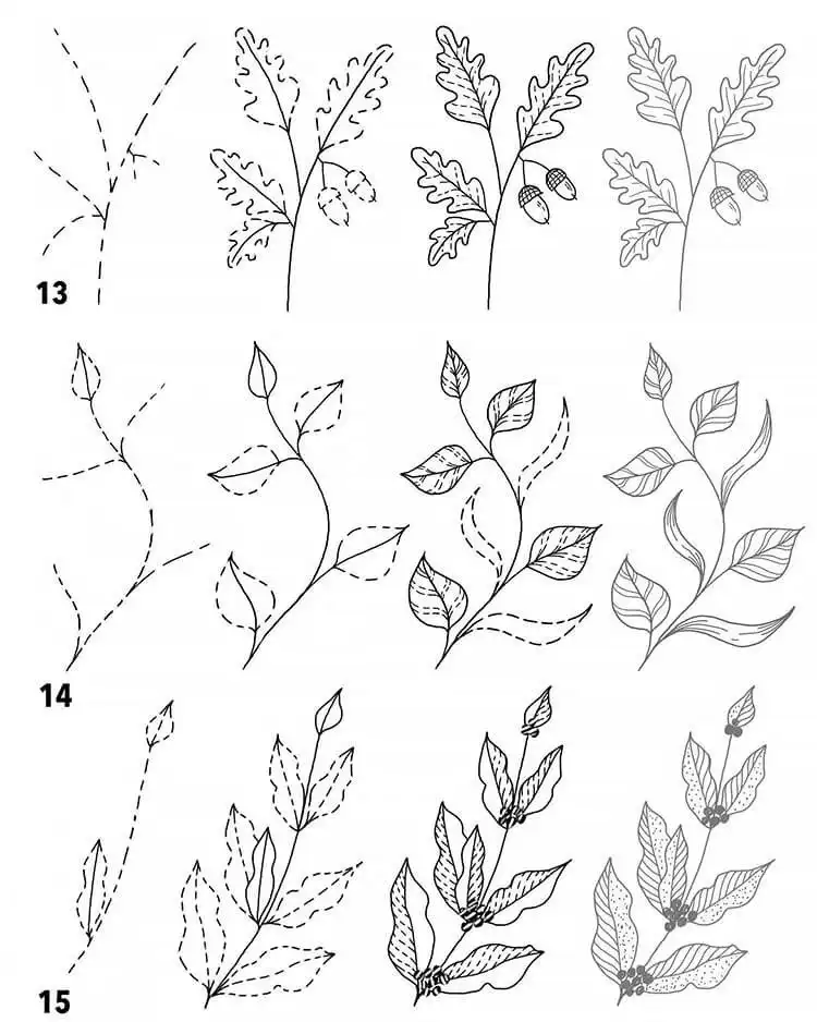 Basic tutorial for drawing various types of leaves, essential for botanical illustrations.