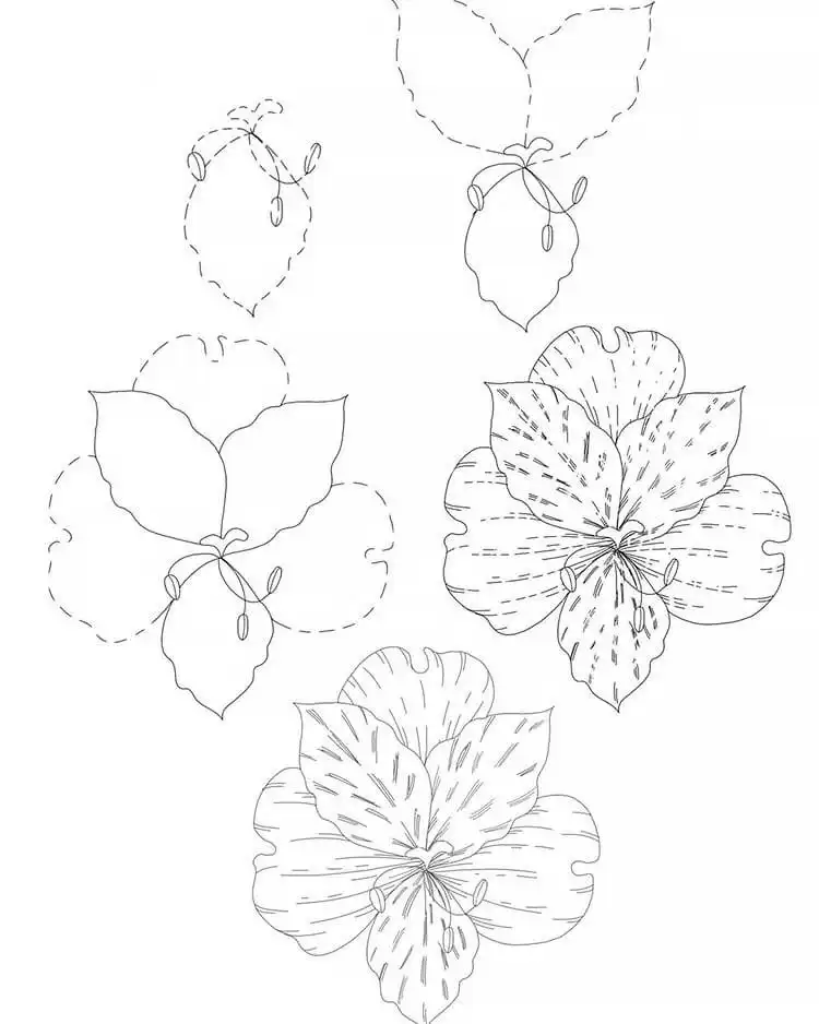 Instructions on how to draw an alstroemeria flower, also known as the Peruvian lily, with its distinct spots.