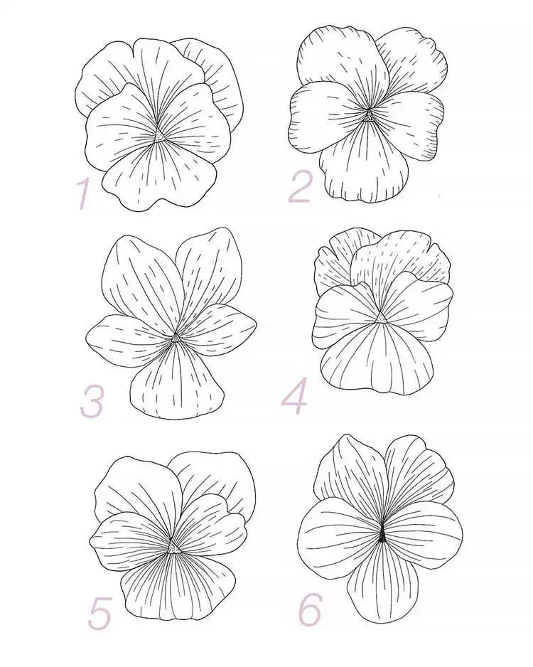 Video tutorial on how to draw a violet flower, focusing on its small, delicate petals and vibrant color.