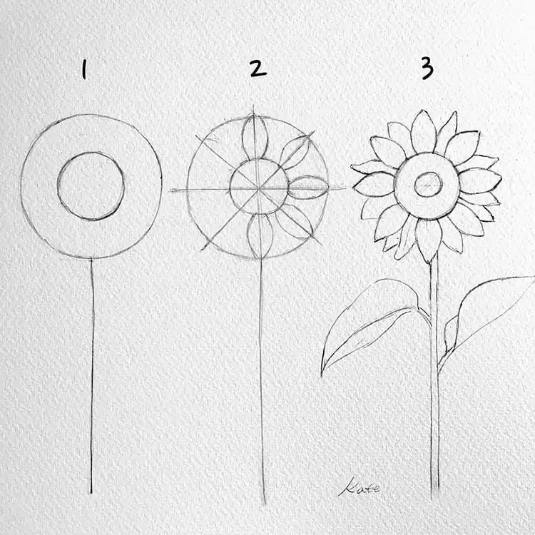 Step-by-step instructions on how to sketch sunflowers, emphasizing their bright petals and central disk.