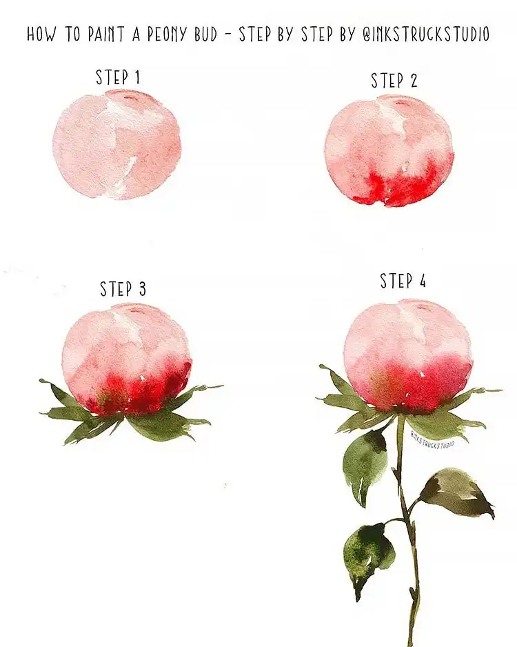 Instructions from Ink Struck Studio on how to paint a peony bud, focusing on its soft, layered petals.
