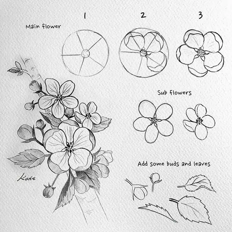 Guide to drawing flowers on branches, demonstrating how to integrate blossoms with natural branch structures.