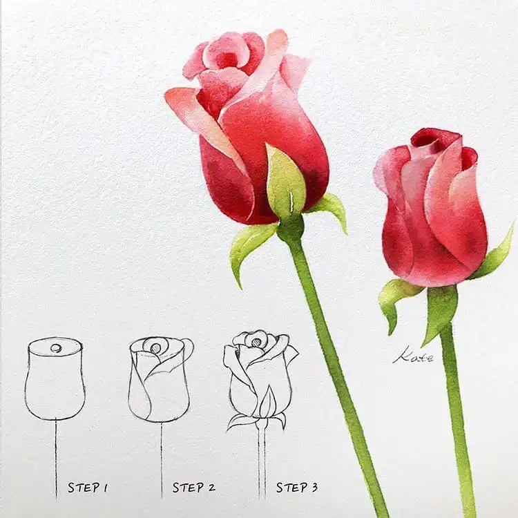 Easy three-step tutorial on how to draw a rosebud, focusing on its spiraling petals and delicate form.