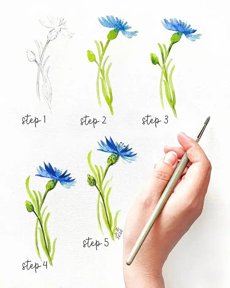 Watercolor Cherry Cheesecake Dessert Tutorial - Watercolor Painting Ideas 20 Serene blue watercolor flower, emphasizing smooth transitions and calming tones.