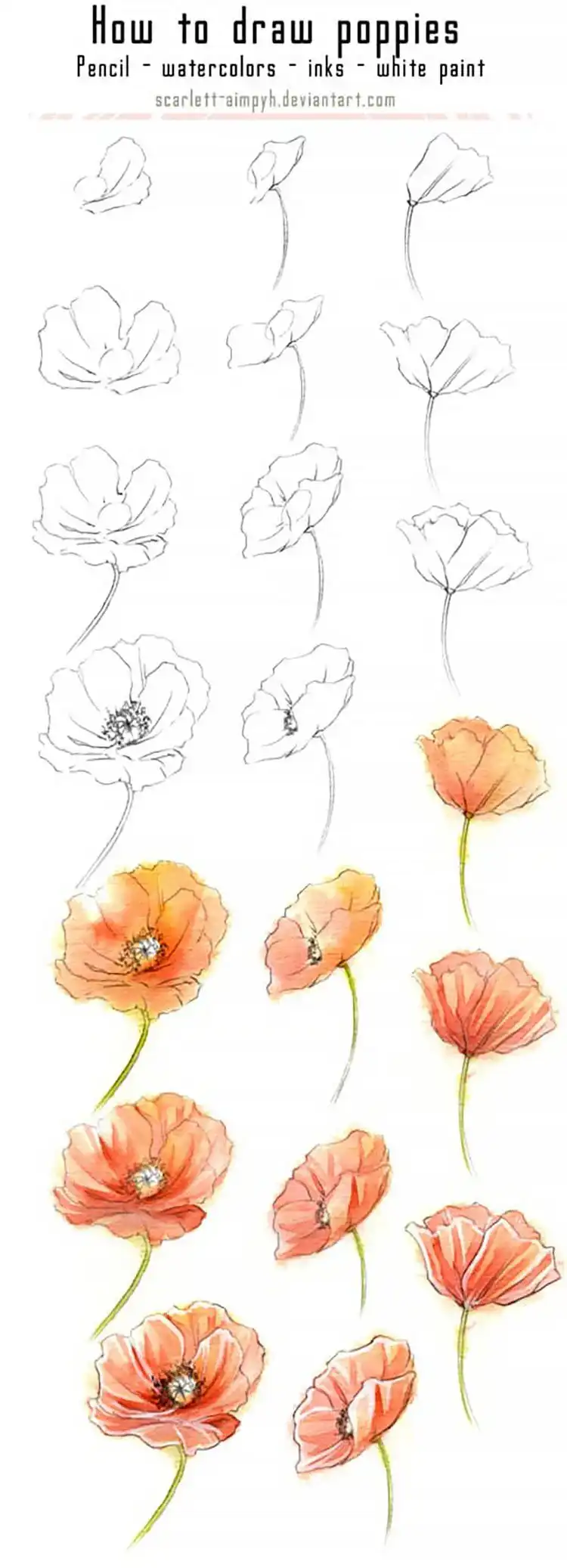 Watercolor Cherry Cheesecake Dessert Tutorial - Watercolor Painting Ideas 9 Step-by-step watercolor guide for painting poppies, focusing on vibrant reds and petal forms.