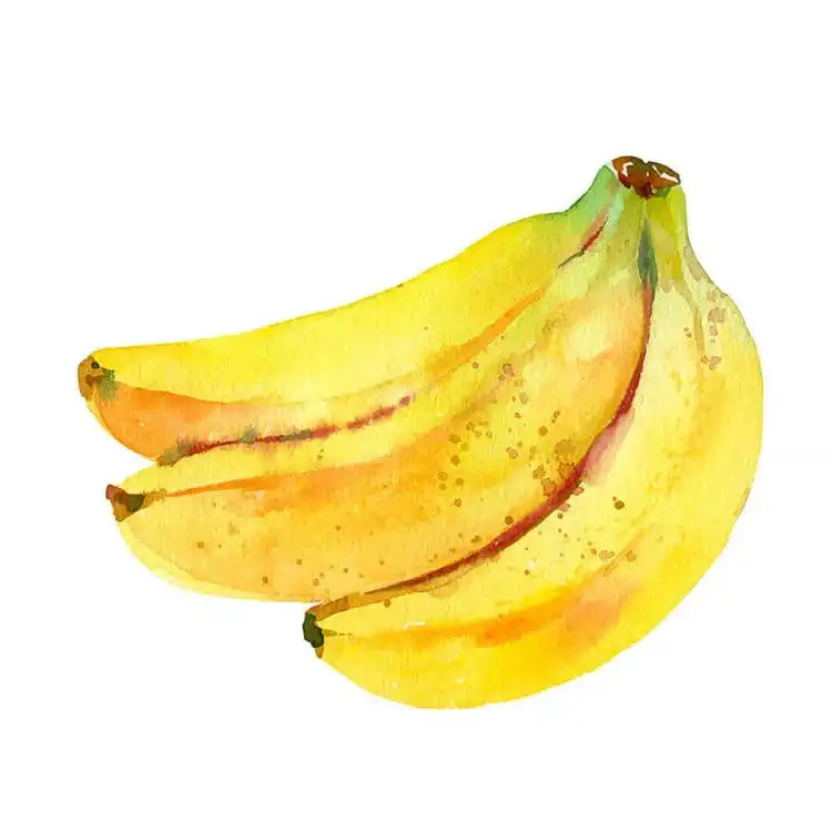 A bunch of Bananas watercolor painting, showcasing warm yellow hues and subtle shading for realistic form.